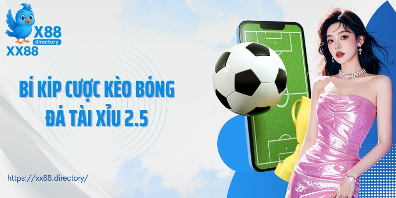 Bí kíp cược kèo bóng đá tài xỉu 2.5