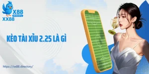 kèo tài xỉu 2.25 là gì